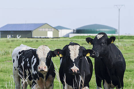 Biogaserzeugung aus Wirtschaftsdüngern