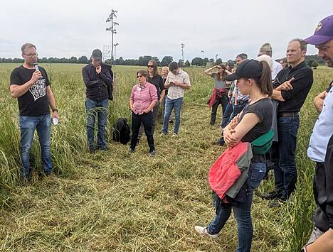 Henning Rehren erläutert sein Agroforstsystem