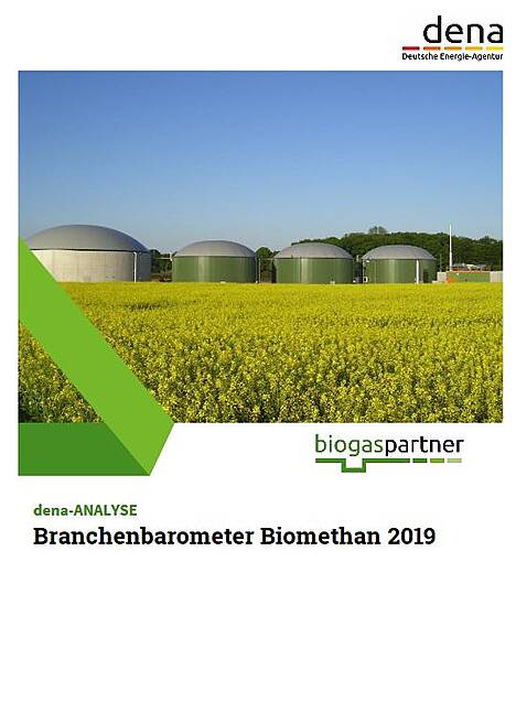 dena-ANALYSE: Branchenbarometer Biomethan 2019