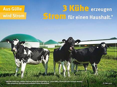 Durch die Vergärung von Gülle werden erneuerbare Energieträger bereitgestellt und THG-Emissionen eingespart.