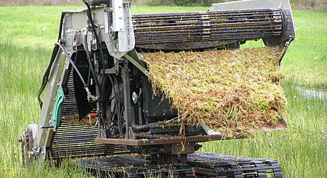 tabförderband und Erntegutrutsche auf der Raupe.