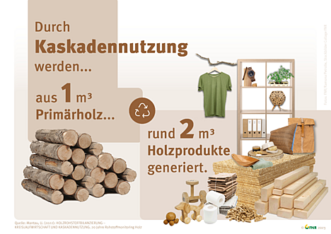 Aus eins mach zwei: So wird Holz effizient genutzt.