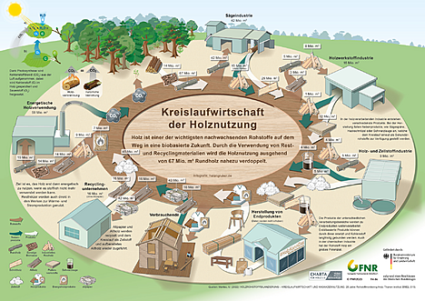 Die Grafik zur Kreislaufwirtschaft mit Holz steht in der Mediathek zum Download bereit.