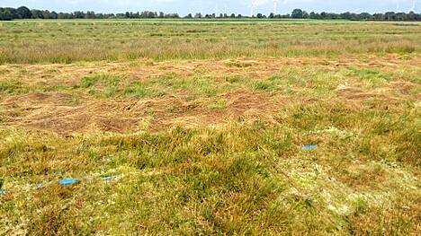 Hochmoor-Renaturierungsfläche bei Papenburg