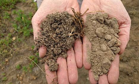 Es gibt bereits praktische Beispiele, wo Landwirte für die Erhöhung des Humusgehaltes Zahlungen bekommen. Die Erweiterung von Fruchtfolgen oder die Anlage von Blühstreifen können auch finanziell lohnende Maßnahmen zur Humusanreicherung sein.