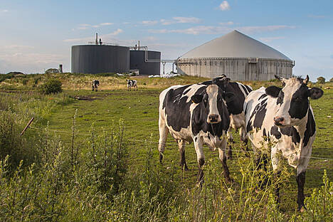 Biogasanlage zur Güllevergärung